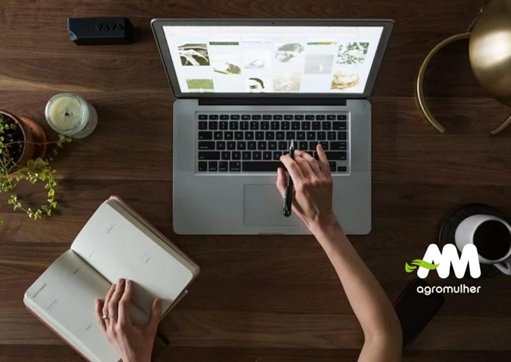 Cursos online
