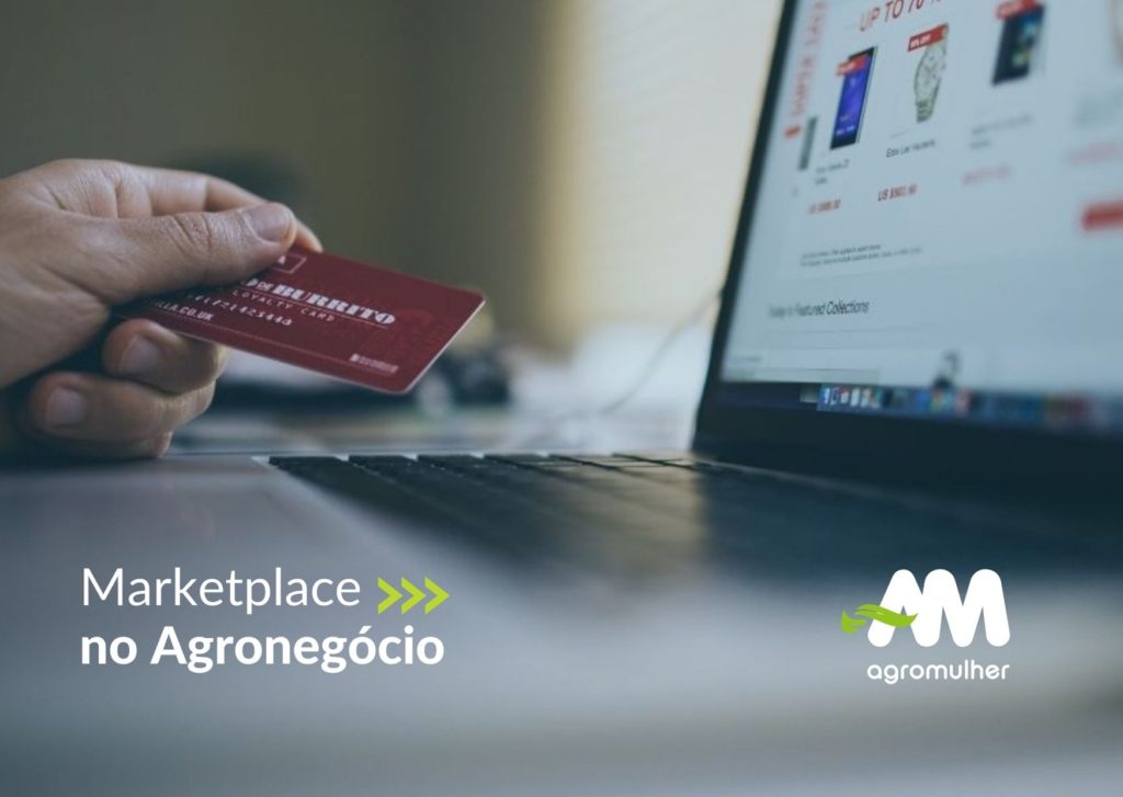 Marketplace no agronegócio